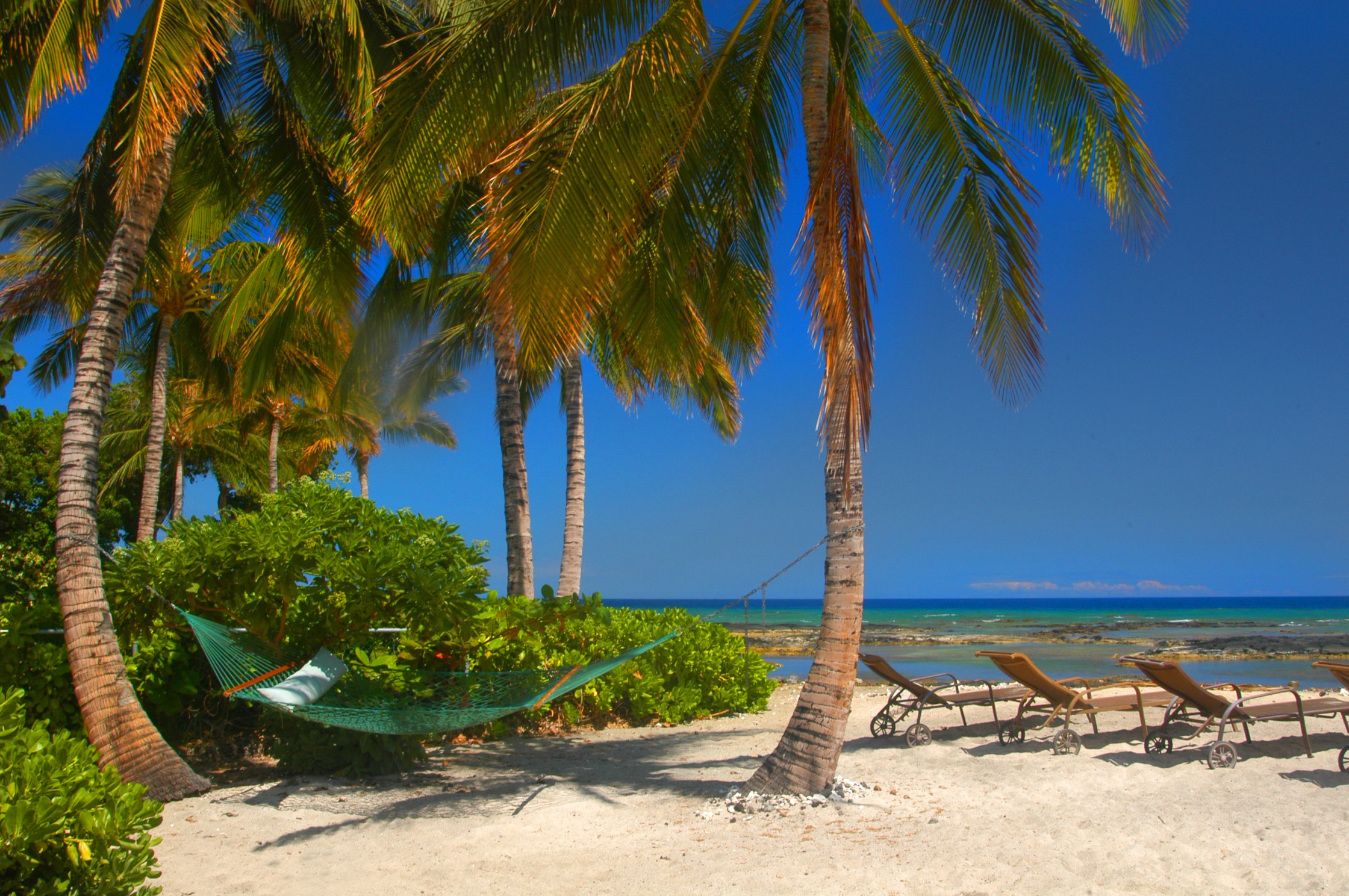 ocean hammock Puako Hylton